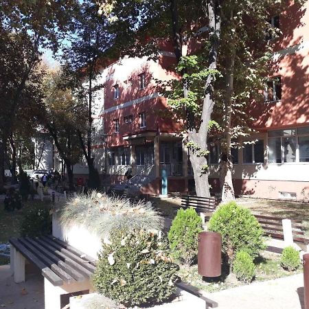 בלגרד Apartman Karadjordje 2 מראה חיצוני תמונה